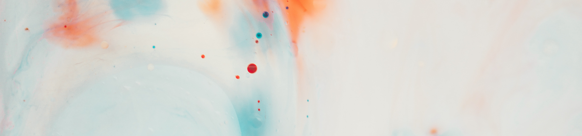 Image header boutique